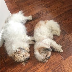 Meet your Posher, Nancy